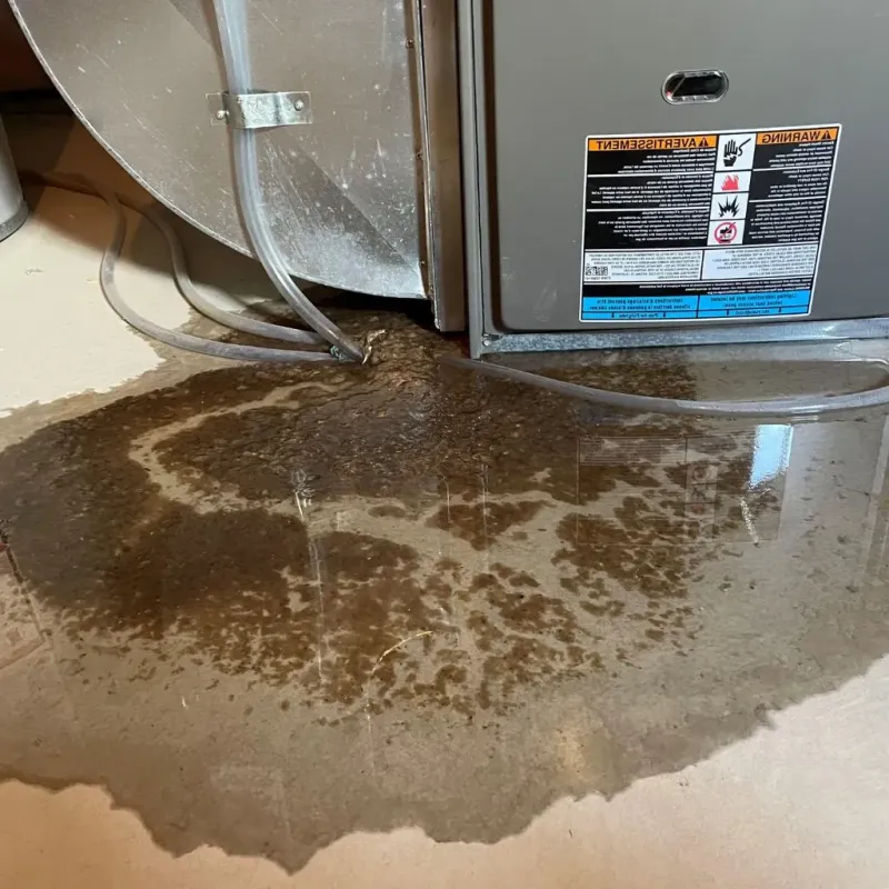 Pipe Burst and Leak Restoration in Sherrill, NY